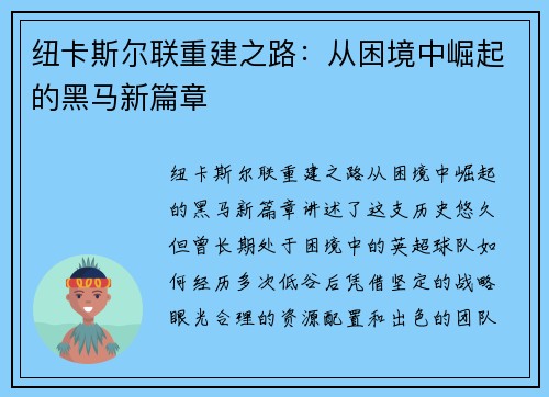 纽卡斯尔联重建之路：从困境中崛起的黑马新篇章