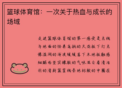 篮球体育馆：一次关于热血与成长的场域