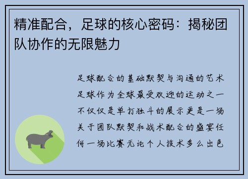 精准配合，足球的核心密码：揭秘团队协作的无限魅力